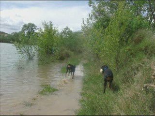 Sortie du 17 avril 2009 avec titi & poucinette