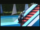 MBC - WipeOut - Jeux Sans frontières Arabe - 18/04 - (2)