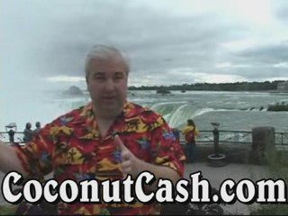 Where Can I Find A Legitimate Home Business? Zurvita