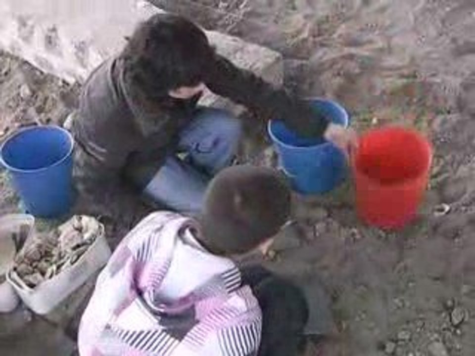 Barzan20092