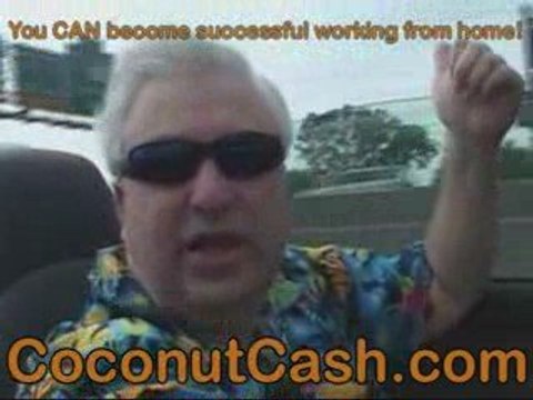 Zurvita-Home Business Income Opportunity