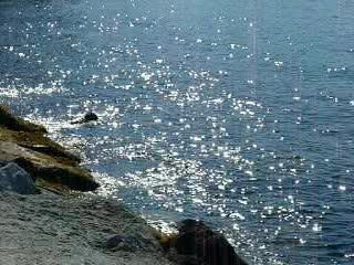reflets sur l'eau