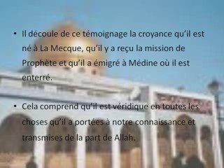 Cours sur la croyance - Le deuxième témoignage