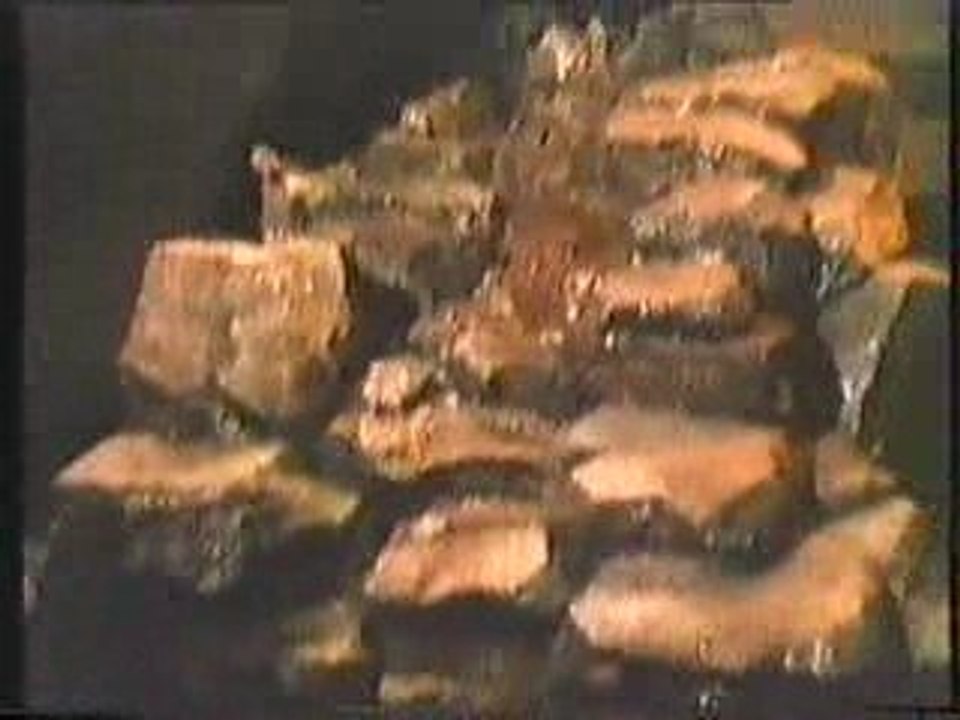 Mala -Dil ke weerane mein ik Shama thi roshan kab se