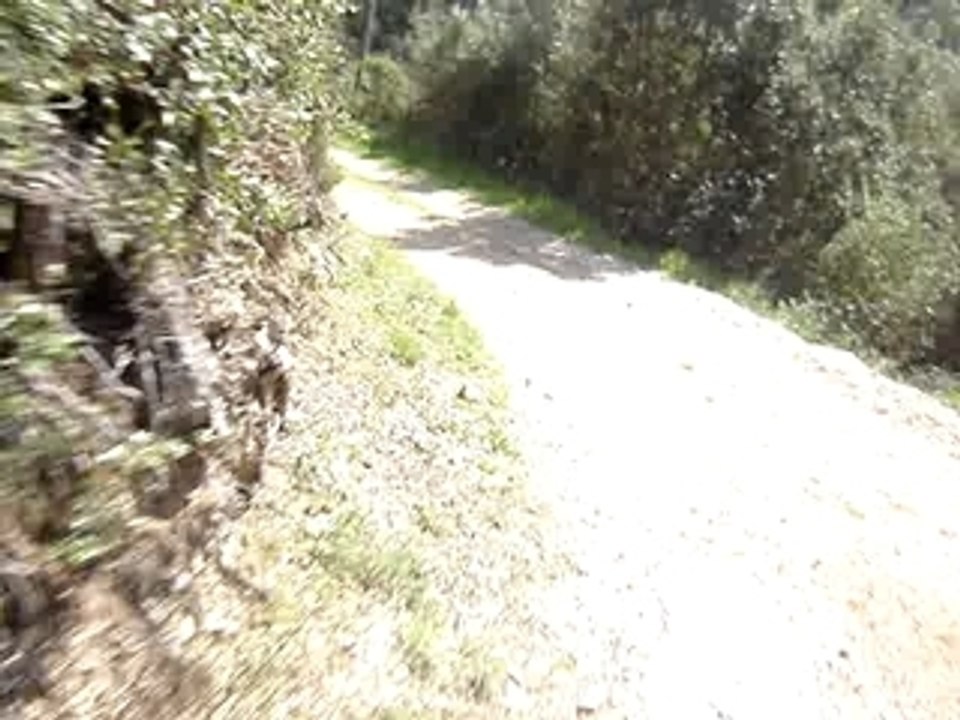 fab une autre petite viré