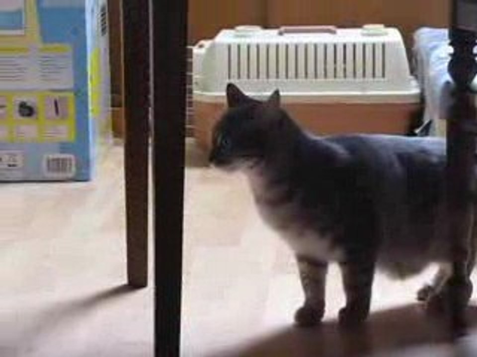 Diamant, Fouras, 18 avril 2009