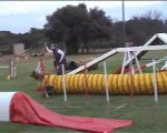 Agility 3ème degrés