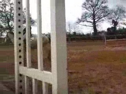 ccf nougat a l'obstacle premiere partie