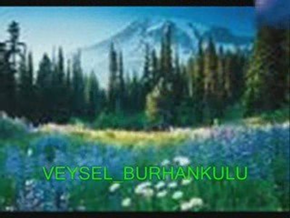 VEYSEL_BURHANKULU