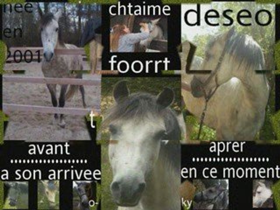 NOUS !!!!!!!!!!!!!!!!!!!!!!