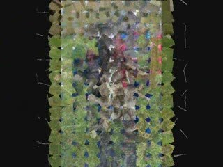 Adoptions janvier 2009