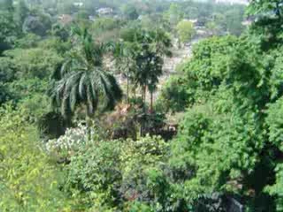 MOV09593