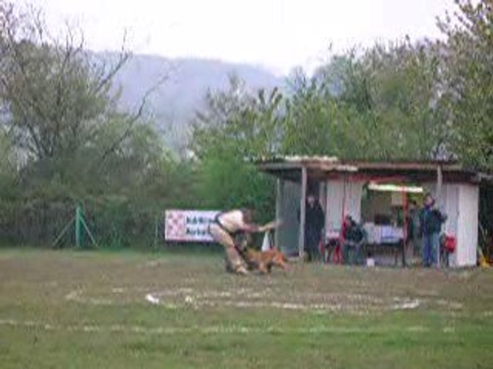 Sélectif VOLCANE Patrick 2009 048