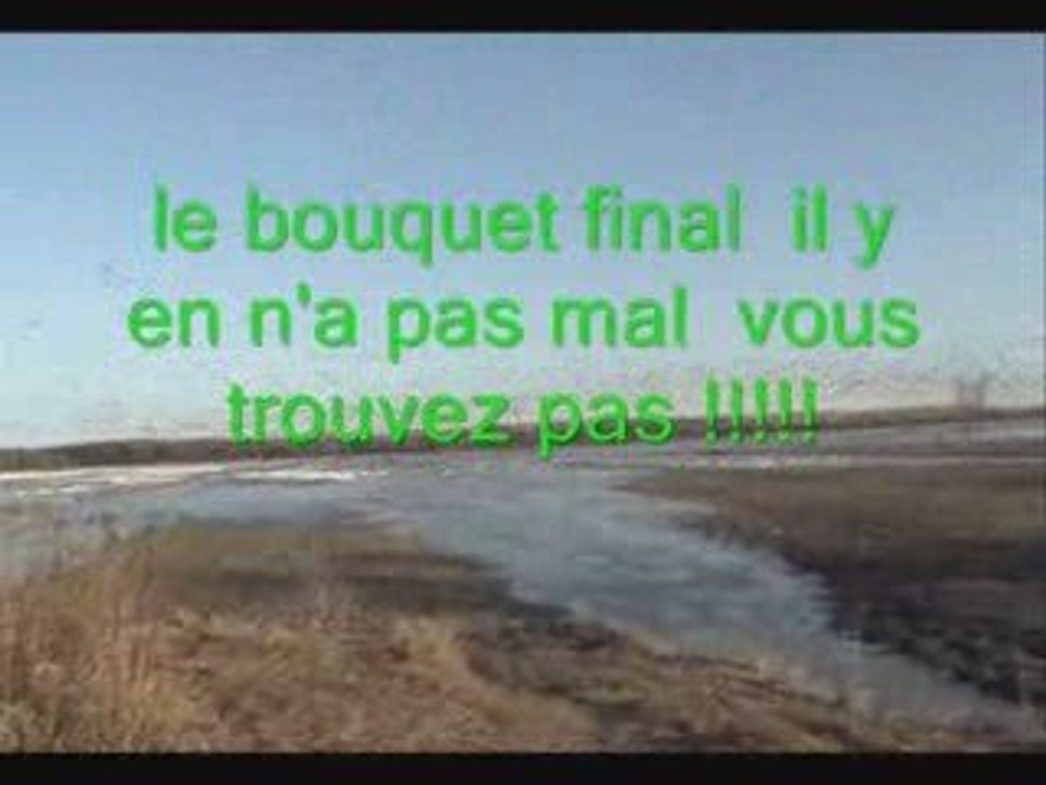 AU PAYS DE L'OIES DES NEIGES