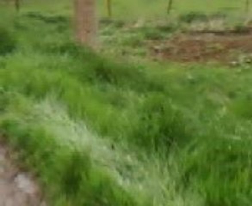 Bestàà ki rale au debut ^^