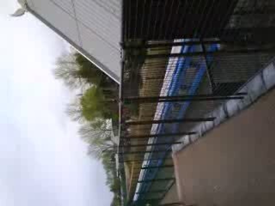 Blue fire propulsion EUROPA PARK ( vue de derriere)