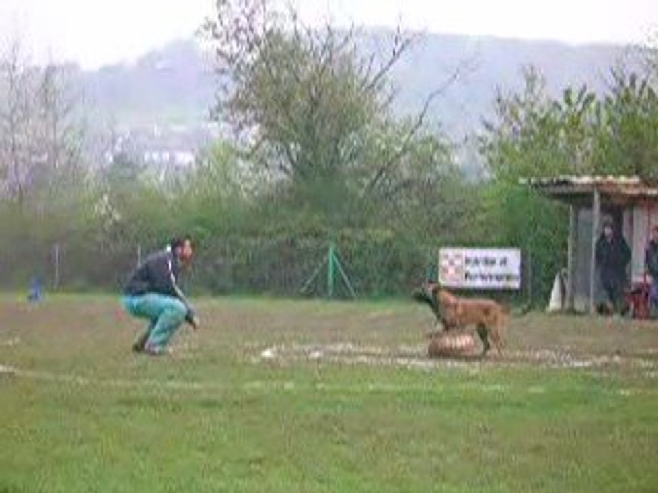 Sélectif VOLCANE Patrick 2009 044