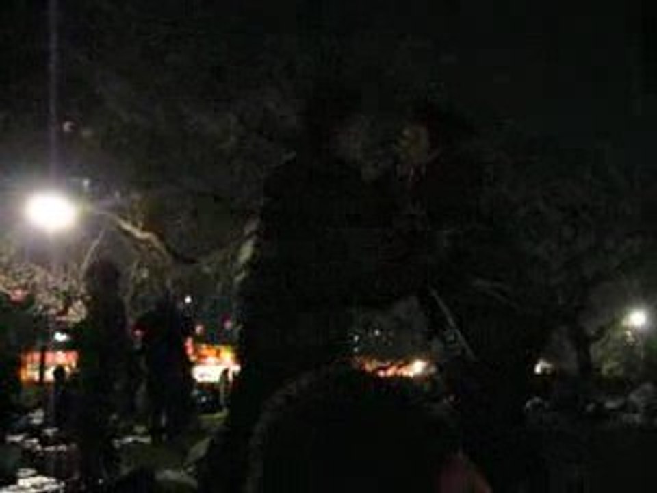 Hanami at Tsutsuji-ga-oka Park in Sendai