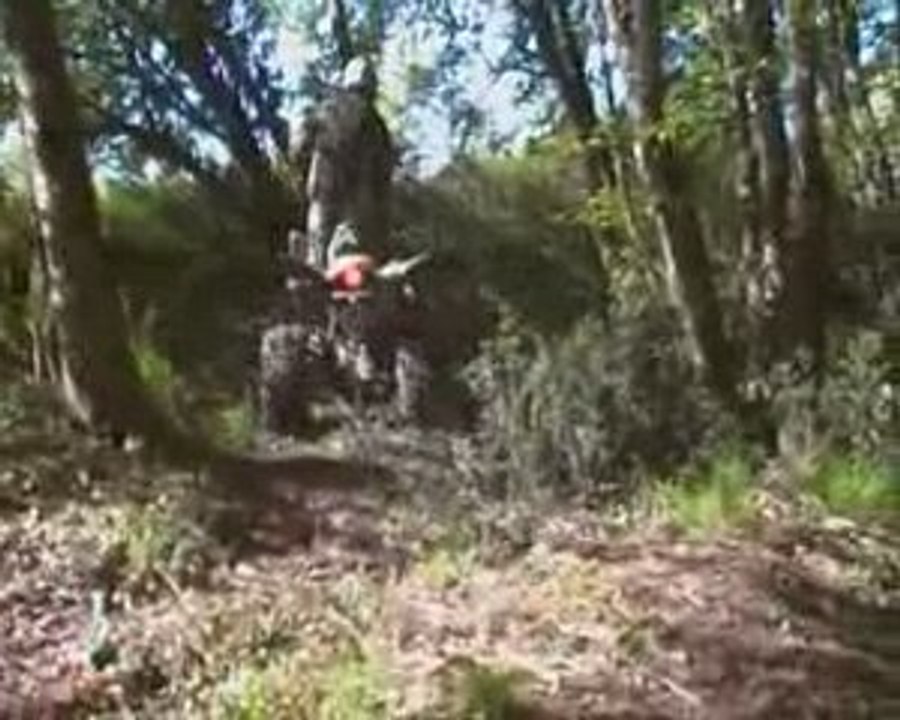 les landais
