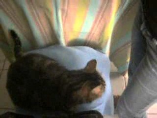 Chipie...une danseuse...