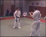 Techniques de combat Achille