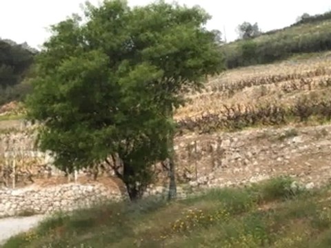 Gary Vaynerchuk, Bicycling And Croatian Wines