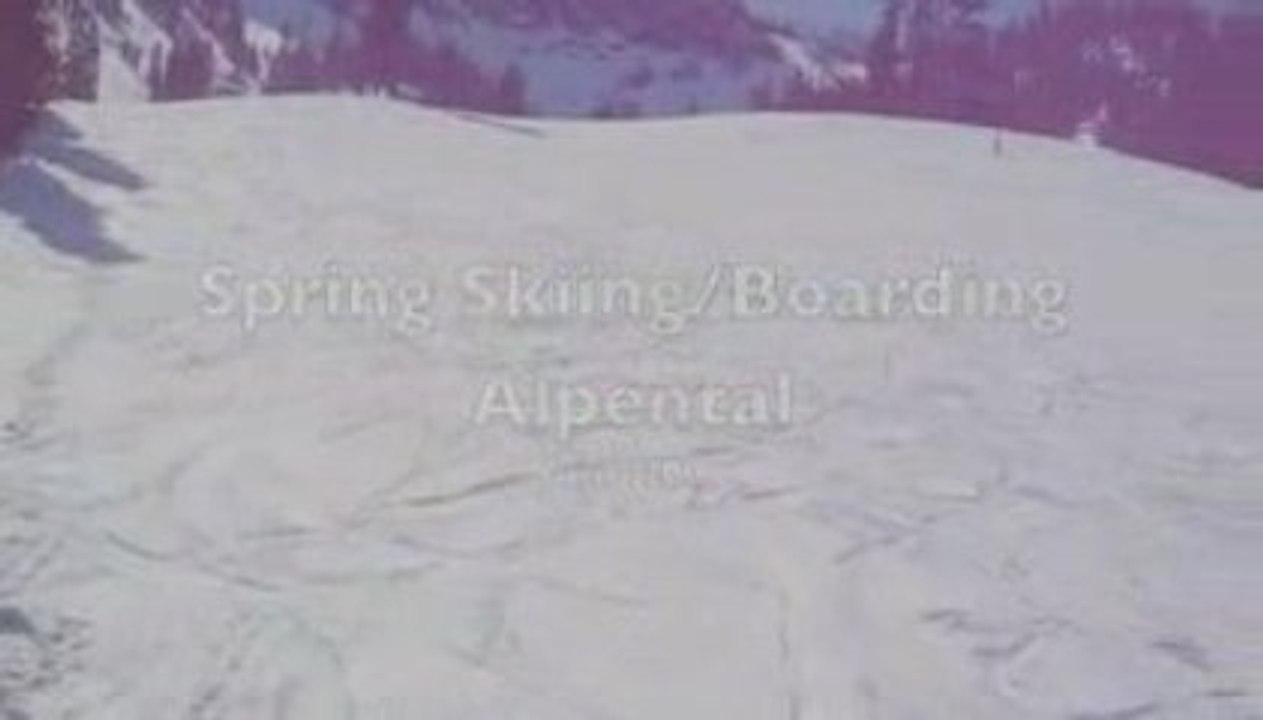 Spring Fun