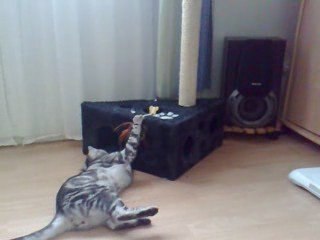 Fëanor et ses jouets