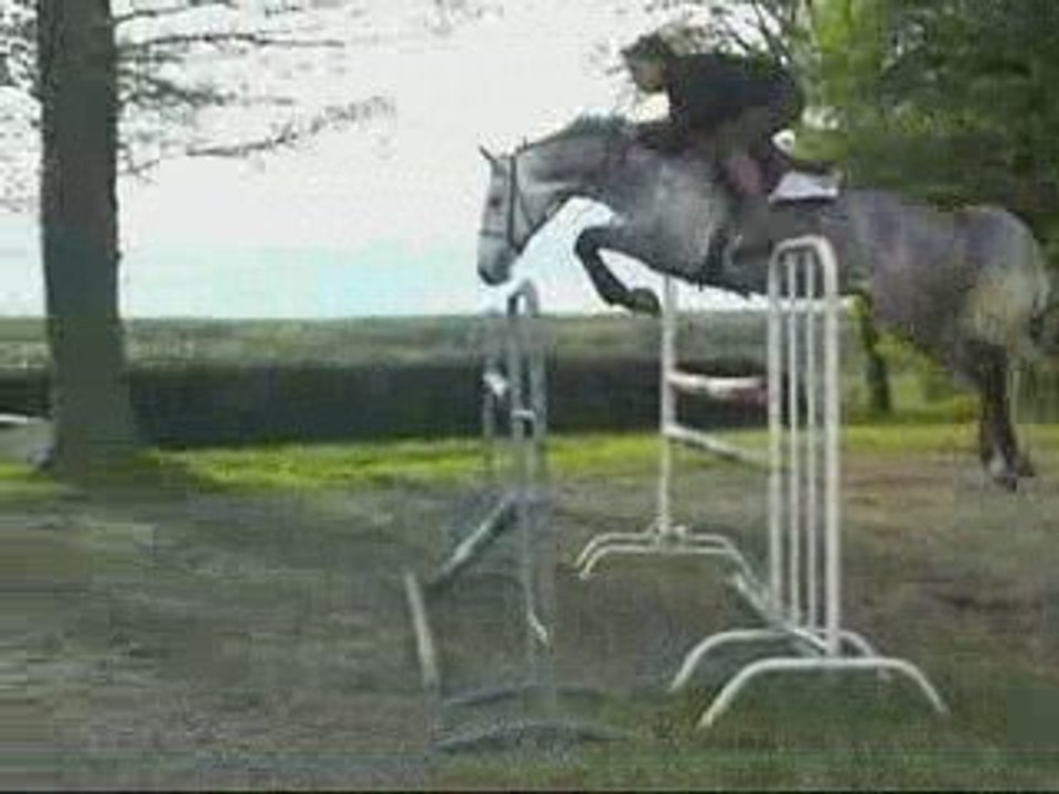 Djaazy Van't Zilverhof