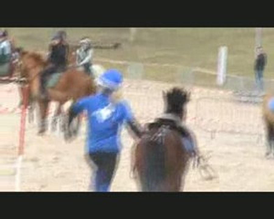 Torcy pony games