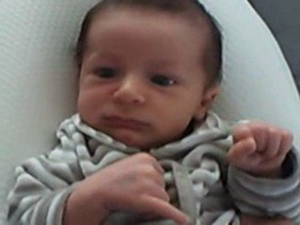 Léon s'active