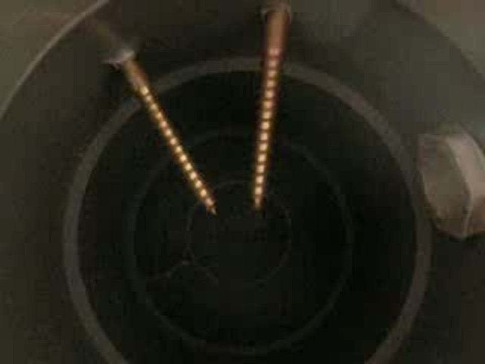 DSCN0381