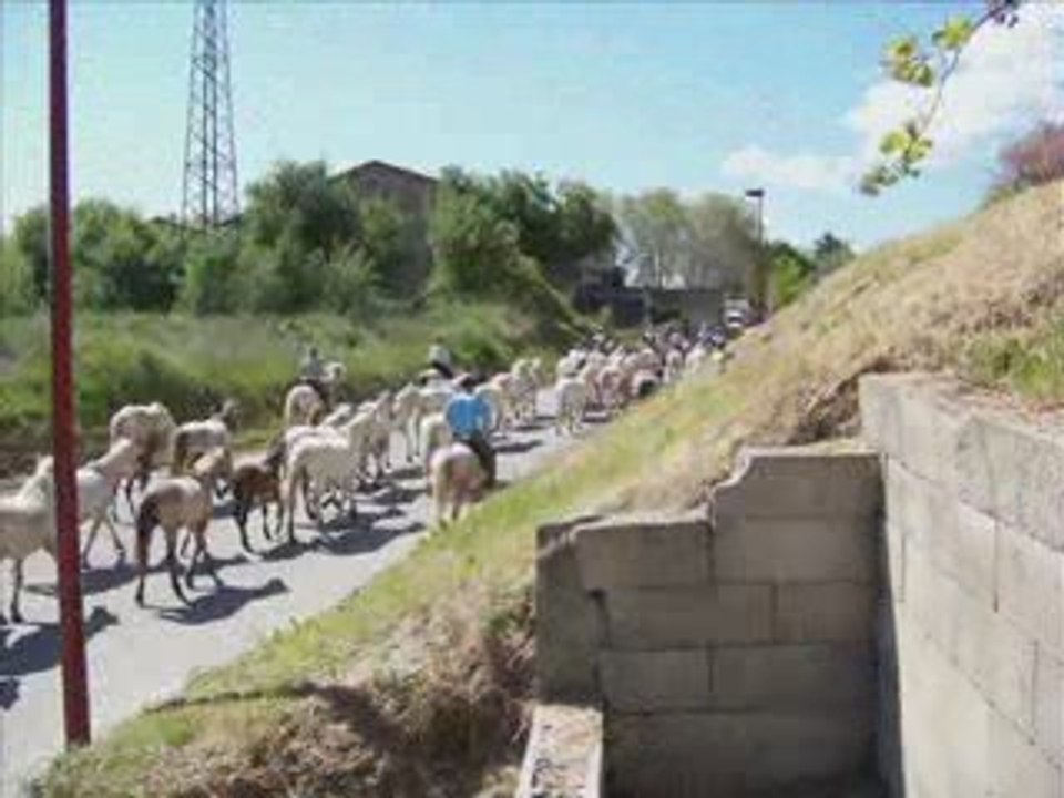 Roussataio