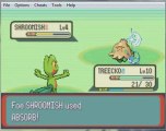 Lets play pokemon emerald part 2(the journy begins)