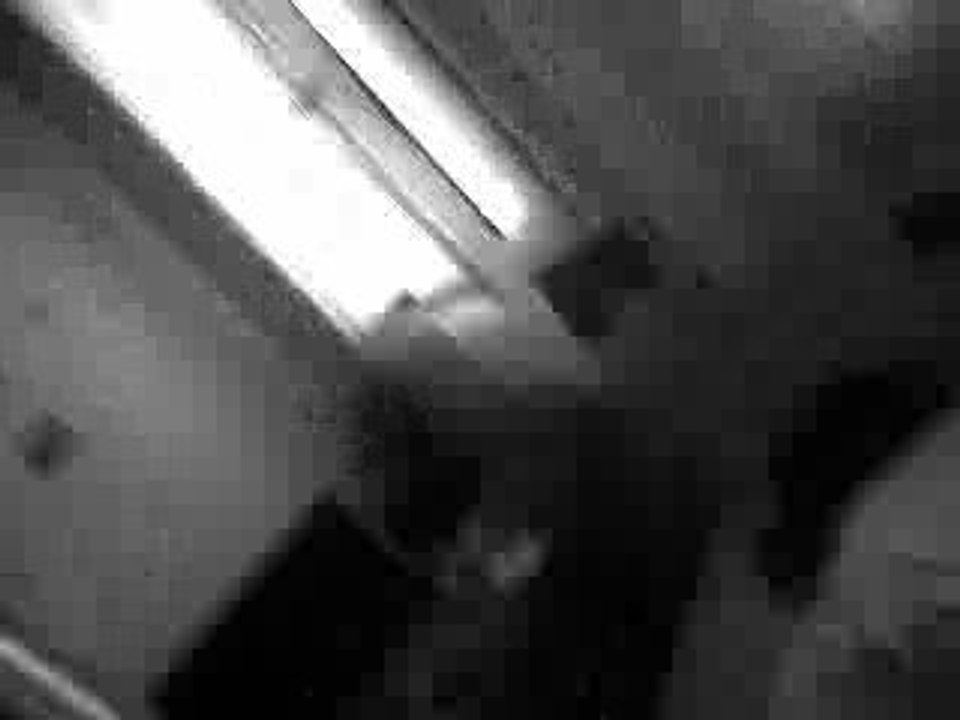 da wild beat box 4