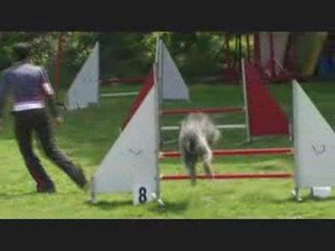 Buck agility st saturnin