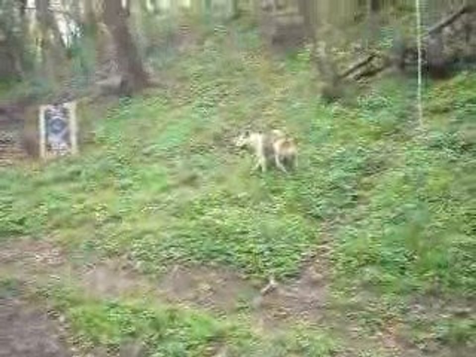 DSCN3166