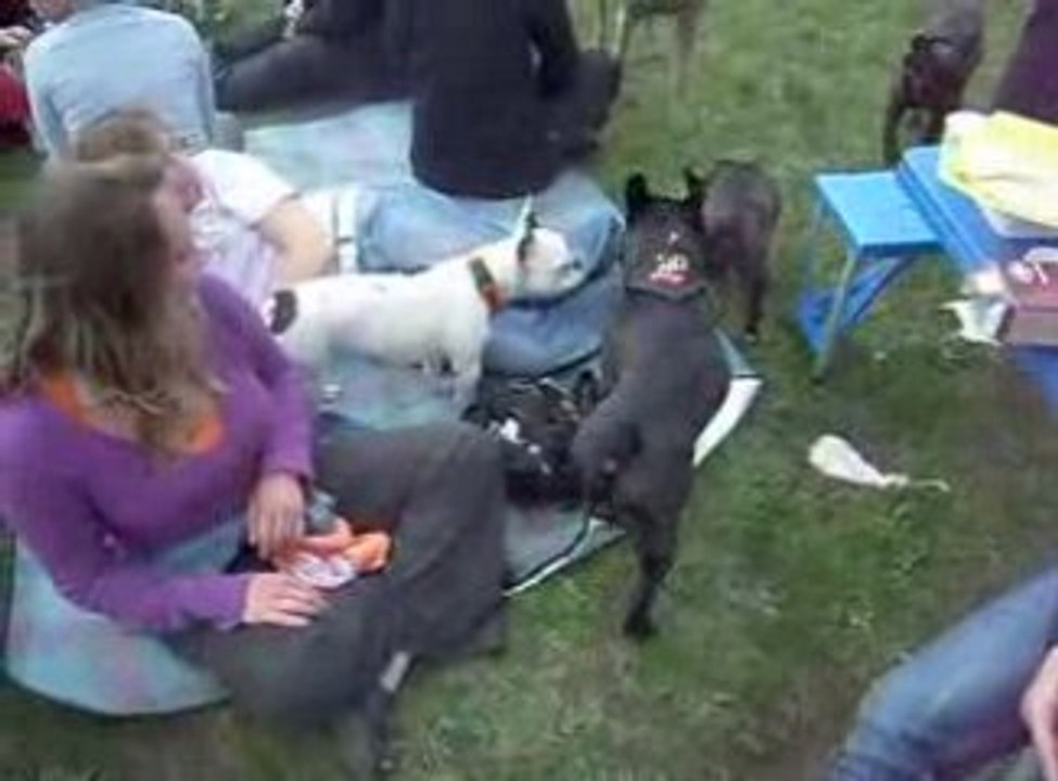 Bouldo partie3