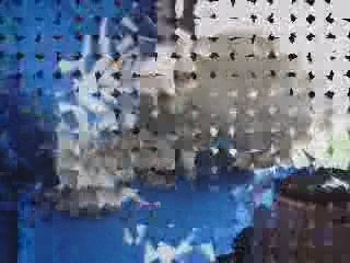 Chana et ses bébés 2009