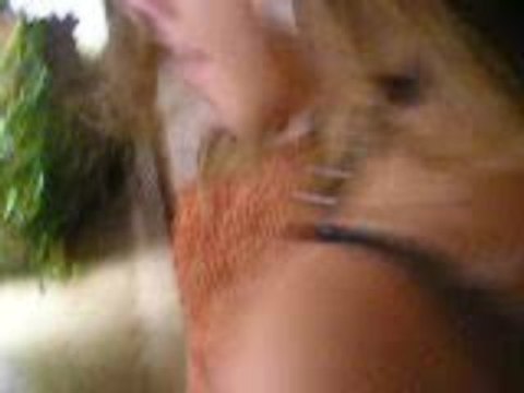 Anniv avec siistah && couz le 23 aout 2OO8