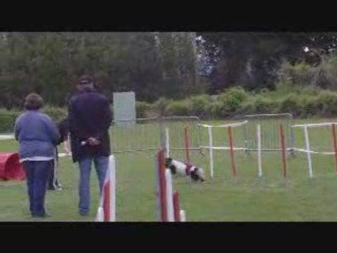 St Sat Rollings Jumping