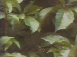 Friedrich Nietzsche, un voyage philosophique 5/5