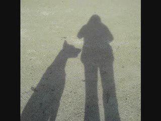 Opaline , comme tu me manques