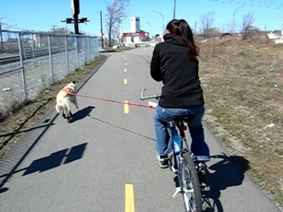 Vega en vélo 2
