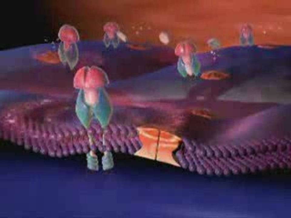 Diabetes Animation