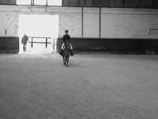 Queiros du verger