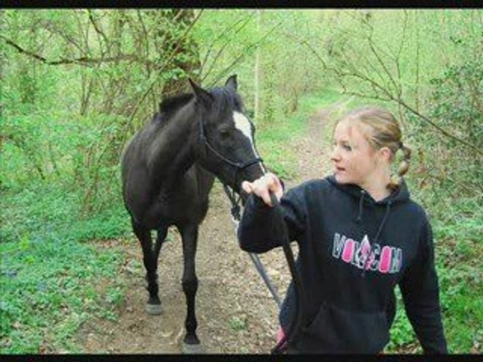 Nalishcam