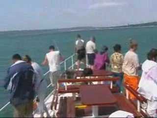 Незабываемая рыбалка с борта яхты 🚤 — Лучшие советы и идеи