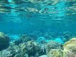 première video dans le lagon