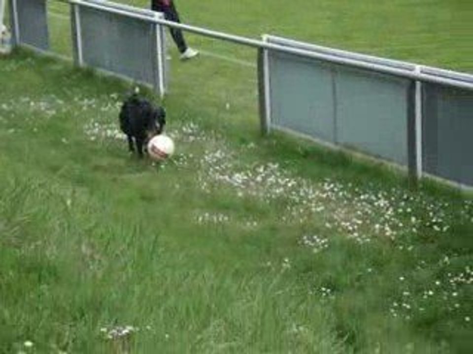 drôle de joueur de foot.... lol